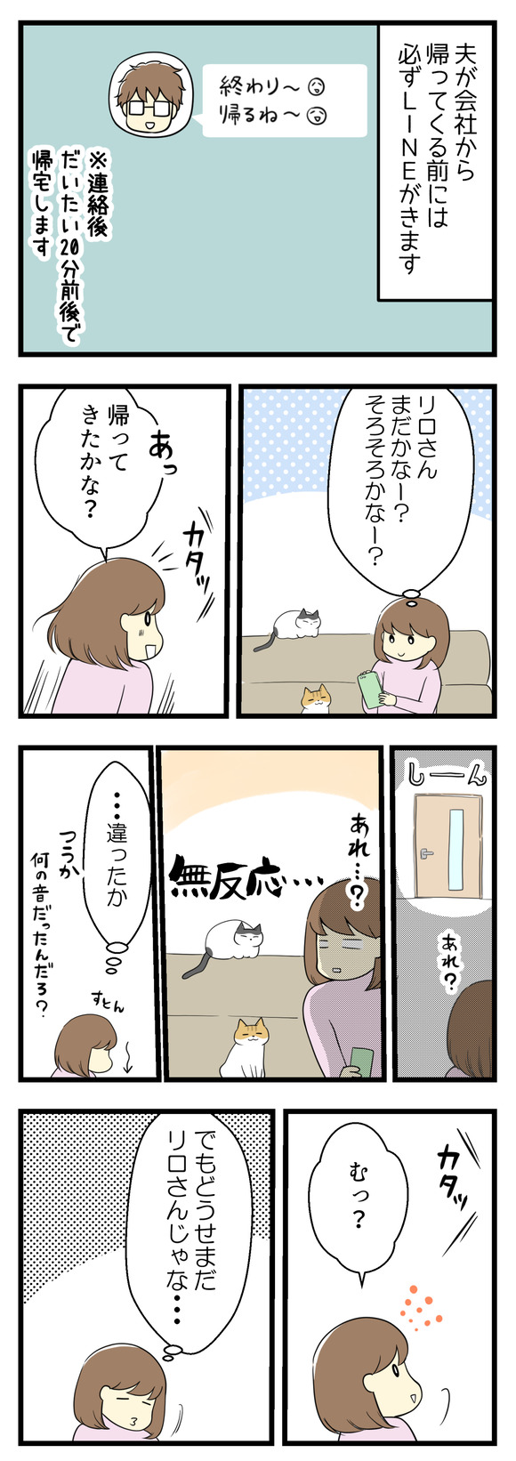 夫が帰宅する前には必ずLINEで連絡が入ります。連絡からだいたい20分前後で帰ってくるので、「そろそろかな?まだかな?」と気をもみつつ待ちます。ちょっとした物音がすると「帰ってきた!」と思うのですが違う場合もあり。その場合は猫たちも無反応。で、再び物音がして「また違うんでしょ」と思ってると