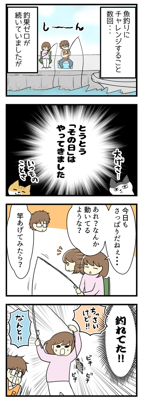 夫婦で魚釣りにチャレンジすること数回・・・釣果ゼロがずっと続いておりましたがとうとうその日はやってきました!なんだか竿が少し引っ張られている感じがあったのであげてみると・・・小さな魚が釣れていました!