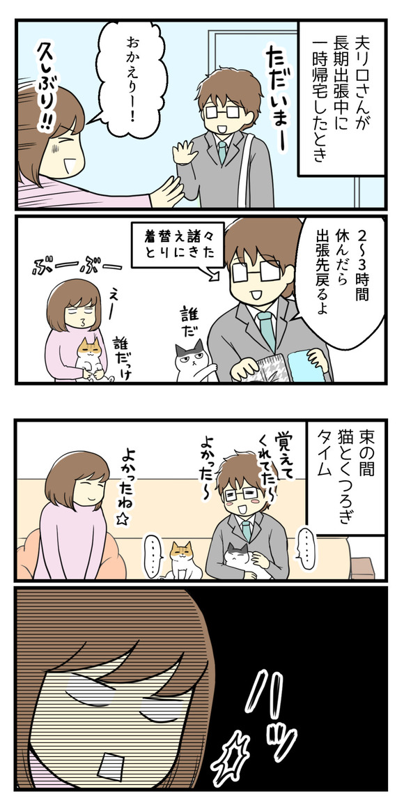 夫リロさんが長期出張から一時帰宅したときのことです。