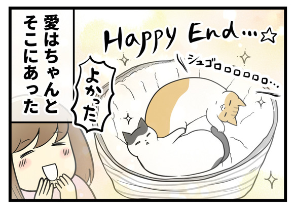 2匹はくっついて寝ていました。そこに愛はあった！！よかった！
