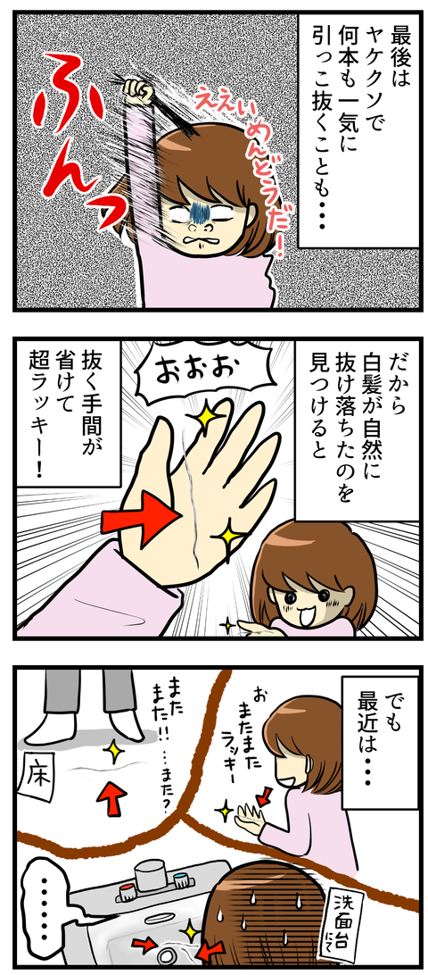 193話 ラッキーな白髪_2