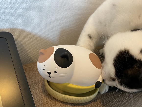おしりにあいさつ