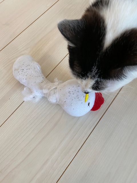 蹴りぐるみ