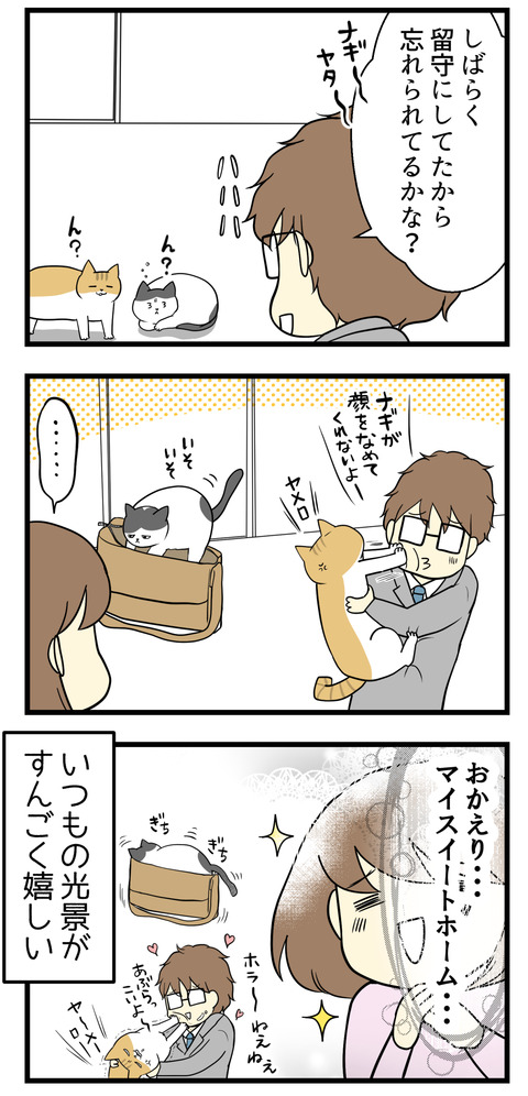 しばらく留守にしていたから、夫は猫に忘れられているんじゃないかと気にしていました。夫のあぶらっこい顔を舐めるのが好きなナギは、確かに久しぶりに見た夫を舐めるのを拒否していましたが、1時間ほどでべろべろ舐めまくりでした。賑やかさが戻った通常営業の我が家がいちがん！