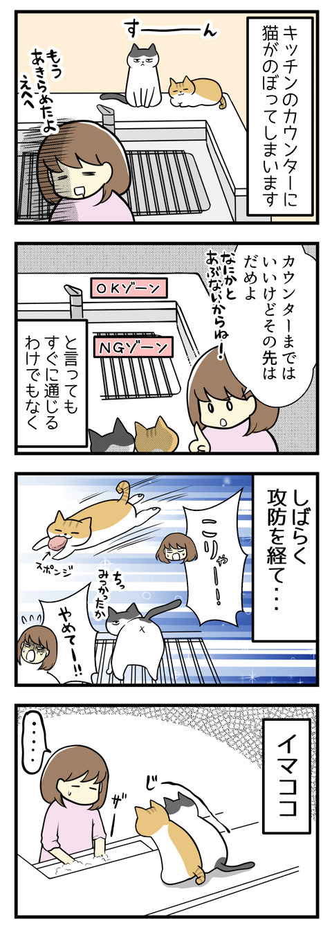 猫がキッチンカウンターにのぼってしまいます。もう構造上諦めているのですがそれでも最低限入っていいゾーンとNGゾーンは守ってほしい・・・とは言ってもすぐに通じるわけもなく。しばらく猫たちとの攻防が続きました。
