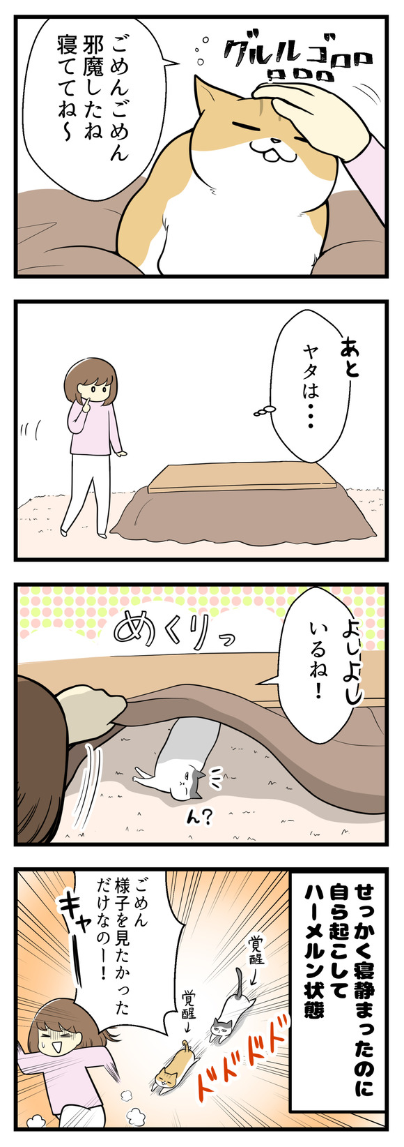 次はリビングに戻りヤタを探しにこたつ布団をめくるとやっぱりいました。よしよしいるね！と安全確認をつい軽い気持ちでやっていしまうのですが、そのあと2匹とも覚醒して結局騒がしくなります。