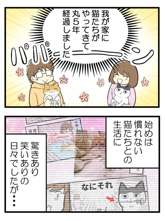 もう驚かないと思っていたら1