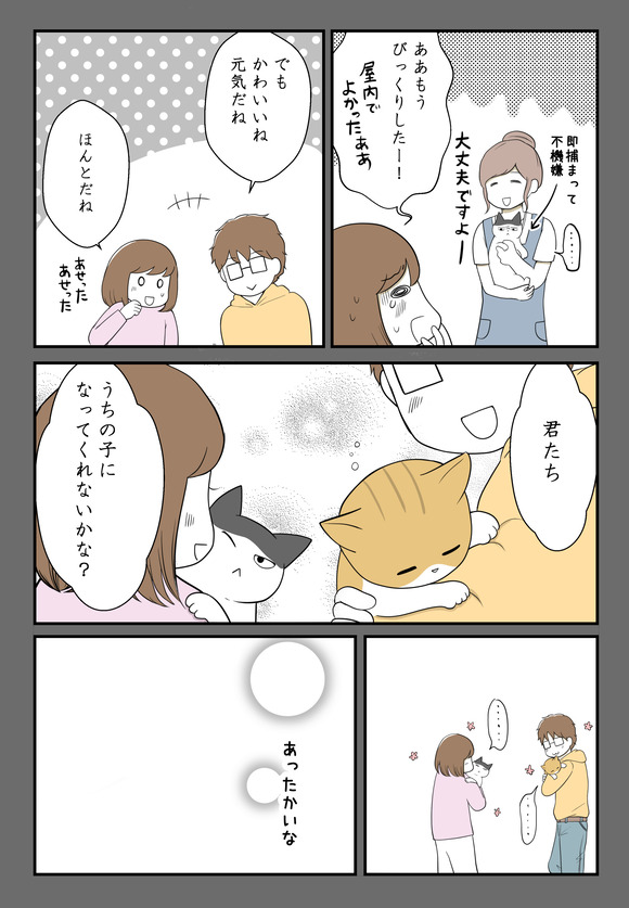 子供を諦めた私と猫たちと8