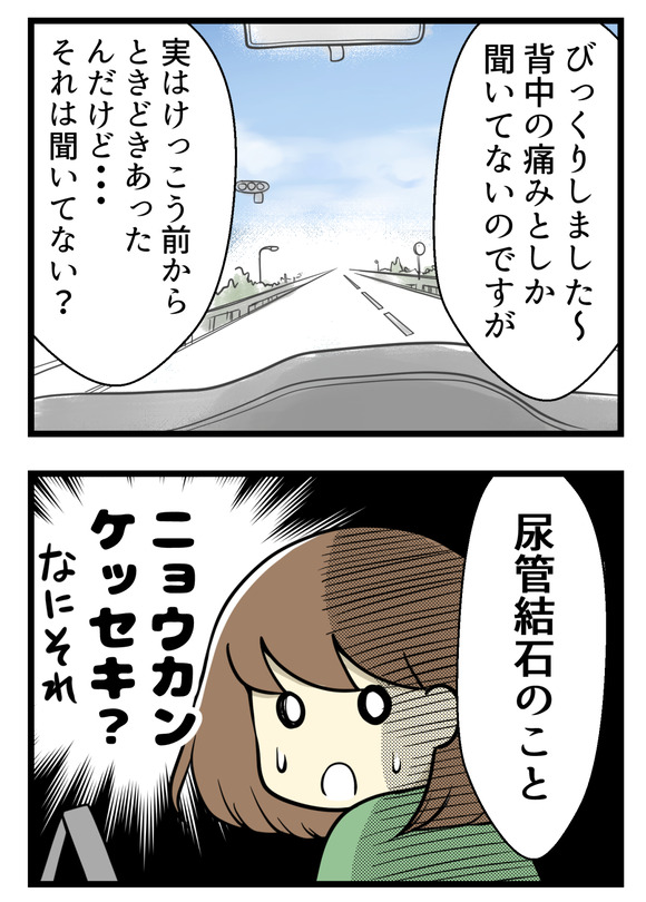 「背中の痛みとしか聞いていないので」と話すと、実は前からリロさんはこの痛みの症状があったとのこと。それは尿管結石とのことでした!