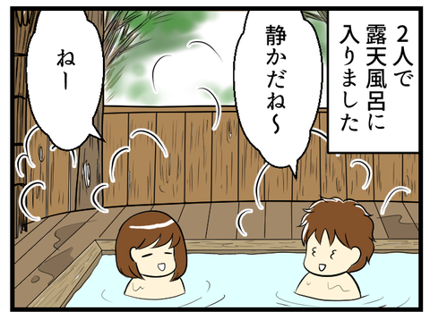 二人そろって部屋の露天風呂へ入りました。静かで鳥の鳴き声などを聞きながらゆっくりとお湯につかります。でも夫は「暇だね」「風呂にテレビでもついていればいいのにね」と！ラブホテルじゃないんだから！情緒ゼロの夫でした