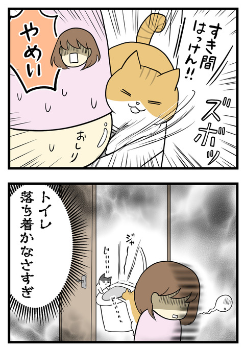 挙句の果てにはお尻と便座の隙間に前足を突っ込んでくる！トイレが落ち着かなさすぎて泣ける