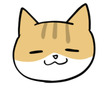 猫のナギ