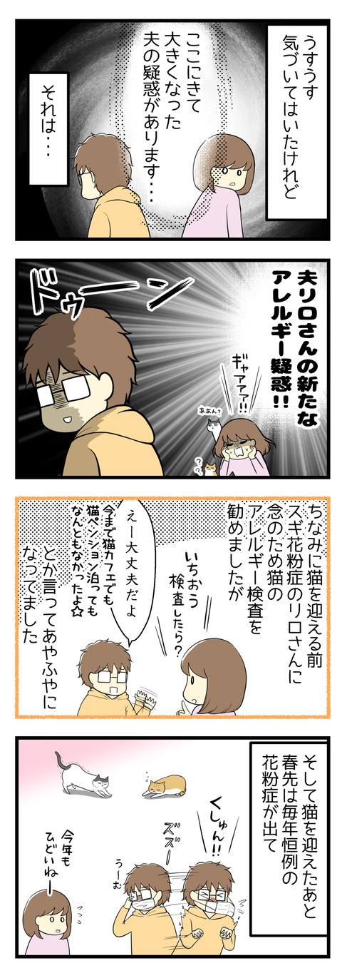うすうす気づいてはいたけれどここにきて大きくなった夫の疑惑があります。それは、新たなアレルギー疑惑!ちなみに猫を迎える前、スギ花粉症のあるリロさんに念のためアレルギー検査を勧めましたが夫は「大丈夫」と言っててそのままになっていました。そして猫を迎えて春が来て・・・