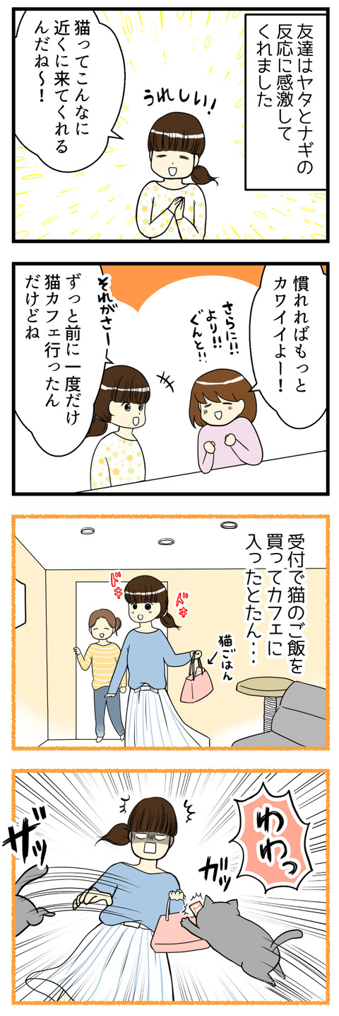 家に遊びに来た友達は、猫たちの態度に感激してくれました。詳しく聞いたところ、その友達が以前行った猫カフェでちょっとトラウマになる体験をしたとのこと