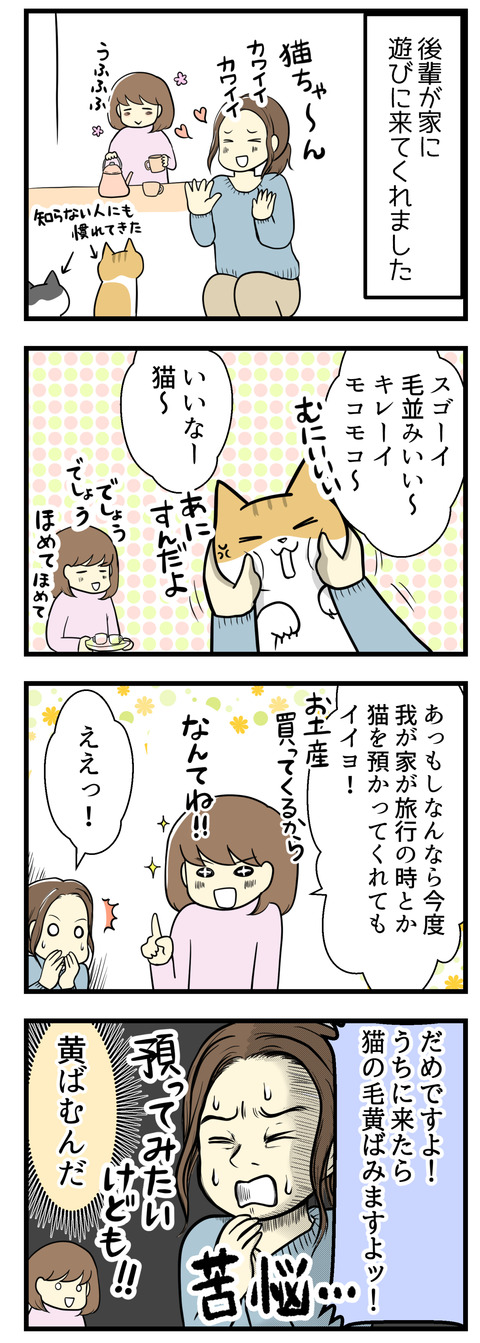 後輩が家に遊びに来てくれた時の話。猫好きな後輩は我が家の猫を見てカワイイ毛並みがいい綺麗とすごく褒めてくれました!気を良くして私は「うちが旅行に出かける際に猫たちを預かってくれてもいいよ!」と半分冗談で言ったら「うちに来たらせっかくきれいな猫たちの毛が黄ばんじゃいます!」と真顔で言われました