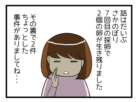 ７回目の採卵後、受精確認日にちょっとした事件がありました