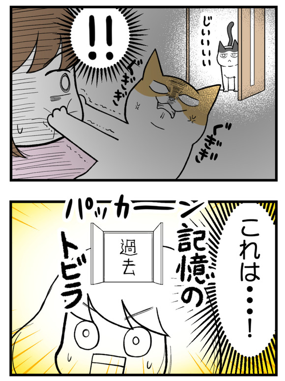 きょうだい格差なんてない_2