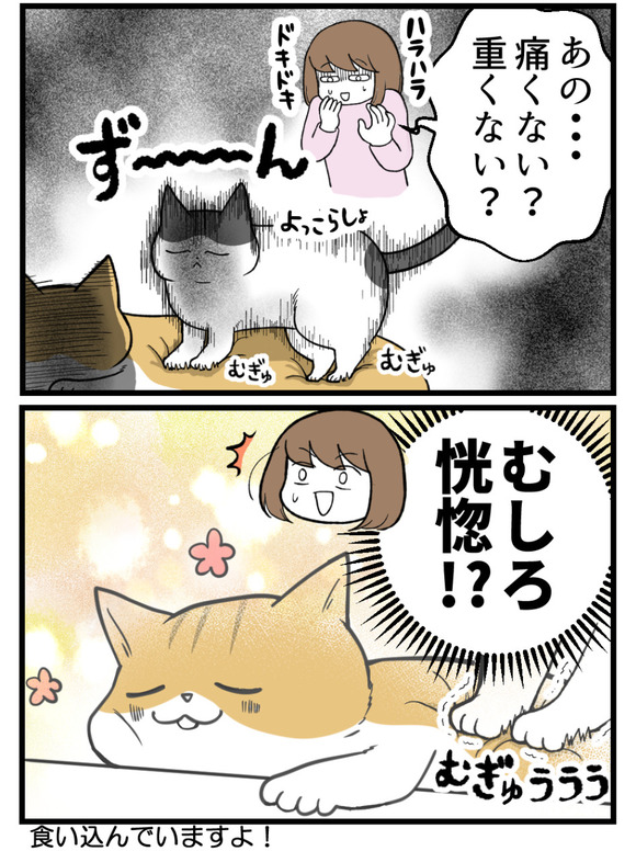 猫に踏まれると痛いけど猫はどうなの-3-