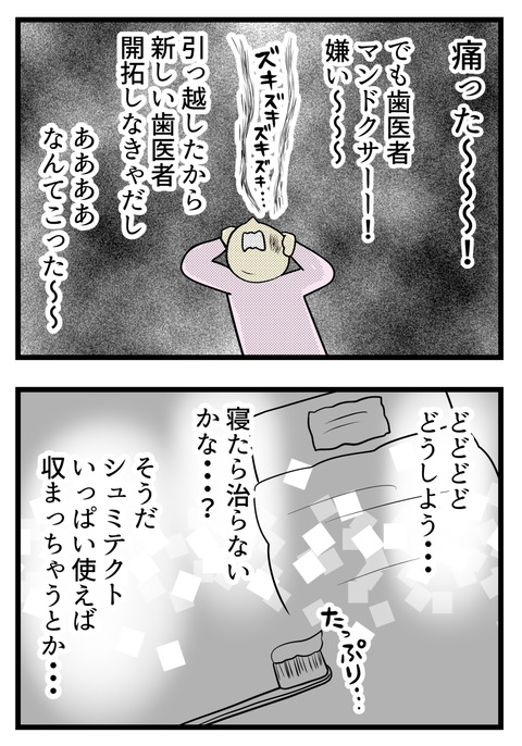 痛いけど歯医者大嫌いだしめんどくさいし、引っ越したから新しい歯医者を開拓しなくちゃならない・・・めんどくさいいや!寝たら治る?シュミテクトをたっぷり塗ればおさまる?などウダウダ悩んでいました