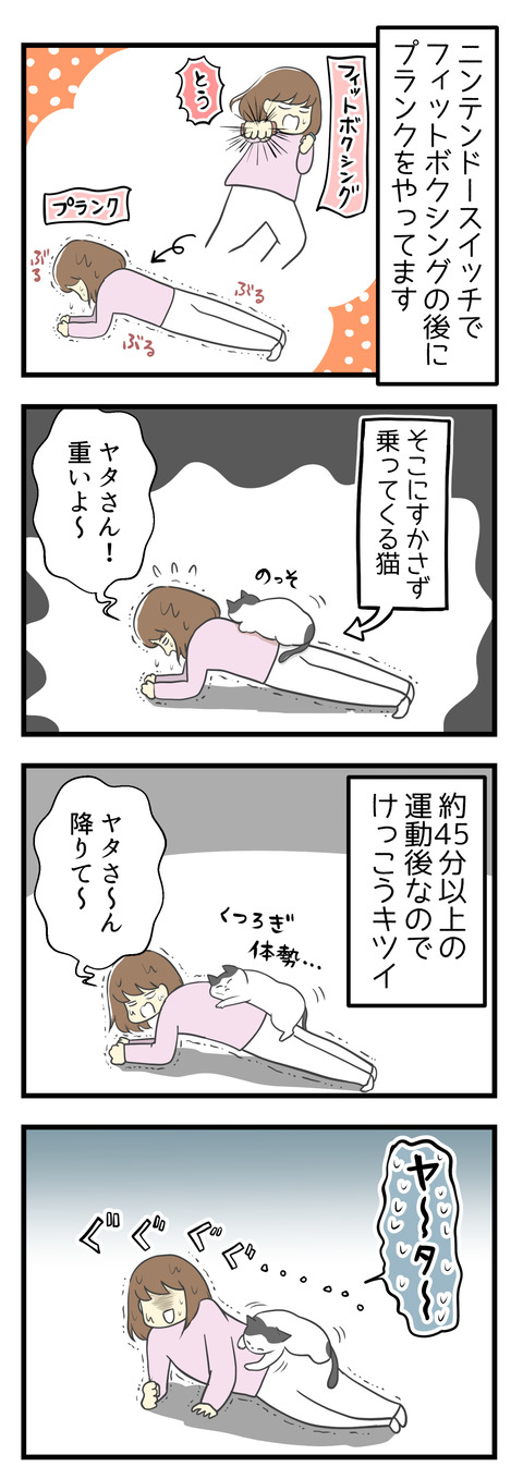 ニンテンドースイッチのフィットボクシングをやった後、筋トレとしてプランクをやっています。するとすかさず背中に猫のヤタが乗ってきます。ボクシングゲームを45分程度やった後なので、猫の負荷がかかるとかなりきついです。でも降りてくれない・・・!猫も頑張ってしがみついています!なんとか下に降ろそうと格闘の末・・・