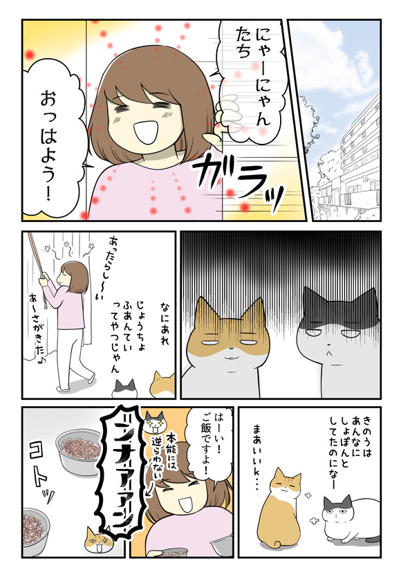子供を諦めた私と猫たちと5