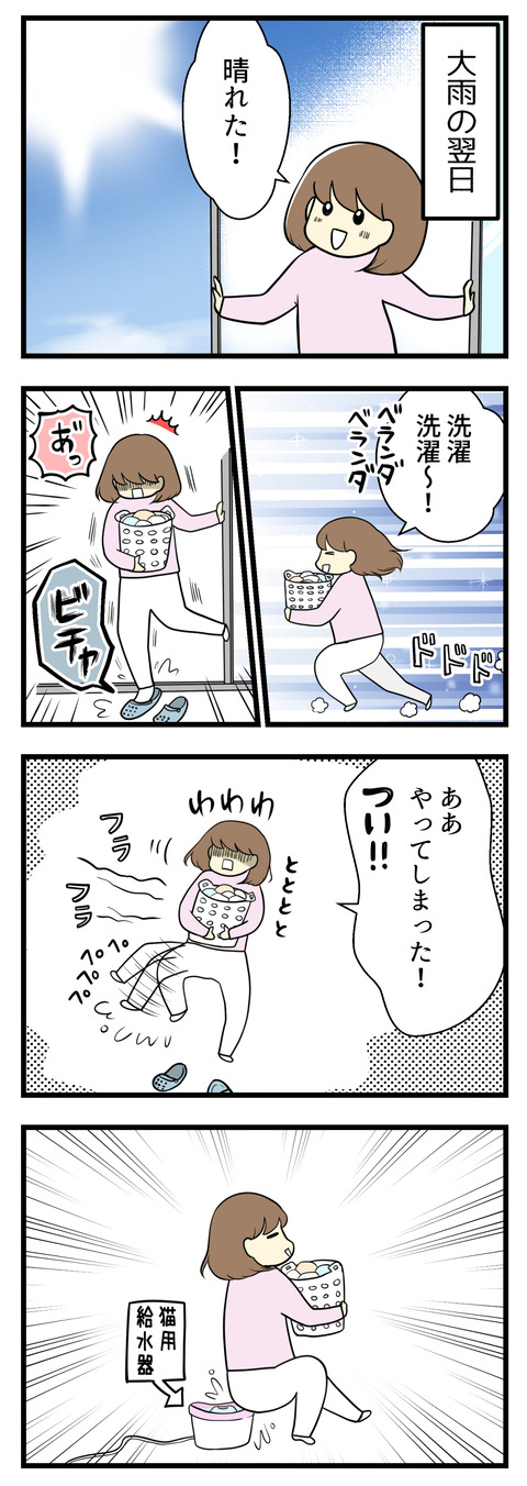 雨の翌日快晴だったので、急いでベランダに洗濯物を干そうとしてベランダ用靴に足を突っ込んだらびっしょびしょ。その反動でフラフラしたら猫用の自動給水器にお尻をつけてしまいました。