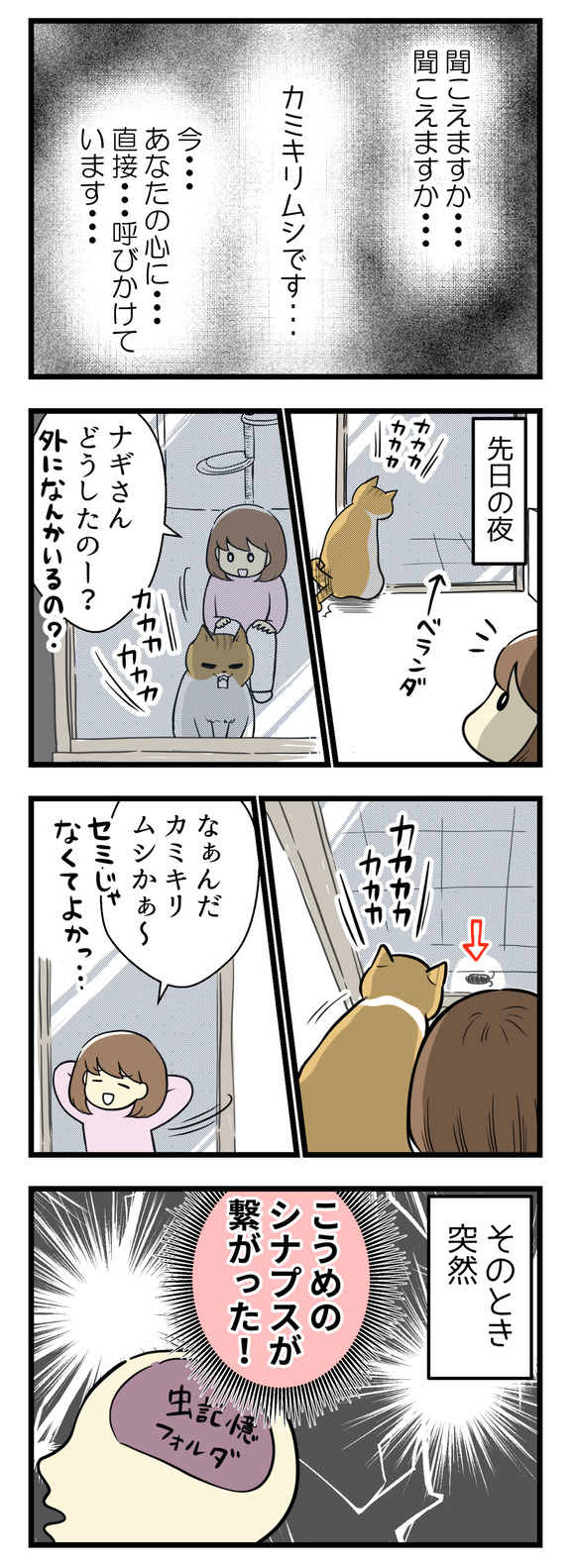 夜ベランダに向かって猫のナギがクラッキングしていたので何がいるのかと思いきや・・・なーんだカミキリムシか、とセミだったら嫌だなと思っていたので安心したら・・・そのとき私の脳のシナプスが繋がりました!
