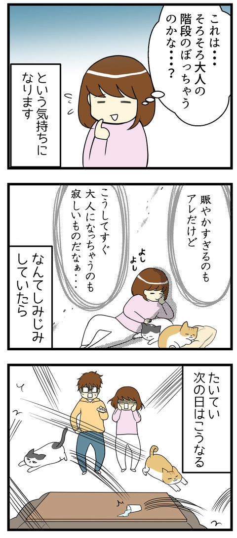 大抵次の日は大暴れで全然落ち着かないし子猫のままだぜ!となります