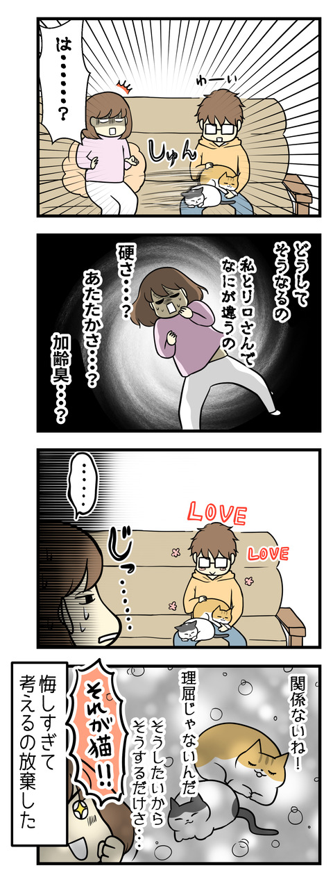即猫たちは夫の膝に移動します!なぜ!?硬さ、広さ、加齢臭?猫の事はわからない・・・考えるの放棄しました。