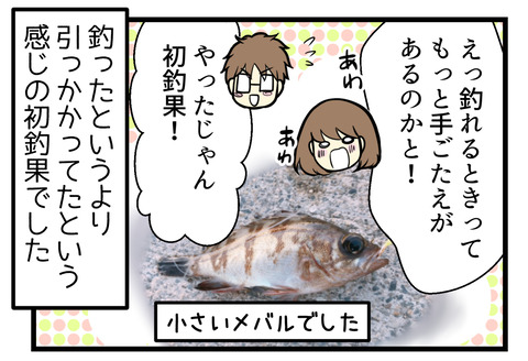 思っていたような手ごたえがなくて気づかなかったけれど小さなメバルが引っかかってました。初釣果!