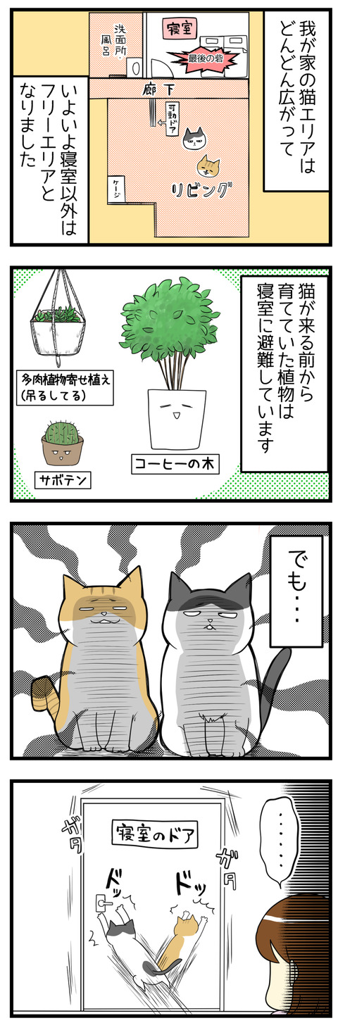 猫におびえる植物たちの漫画