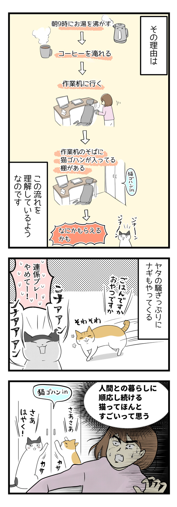 猫の順応性に驚く話-2-