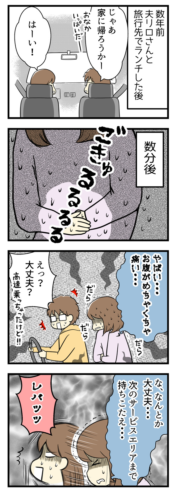 これは数年前、夫リロさんと旅行先でランチをした後のお話です。帰ろうかと車に乗り込んだ数分後、突然の腹痛が!でも車はもうすでに高速道路に乗ってしまったところでした。なんとか次のサービスエリアまで持ちこたえるかと思いきや