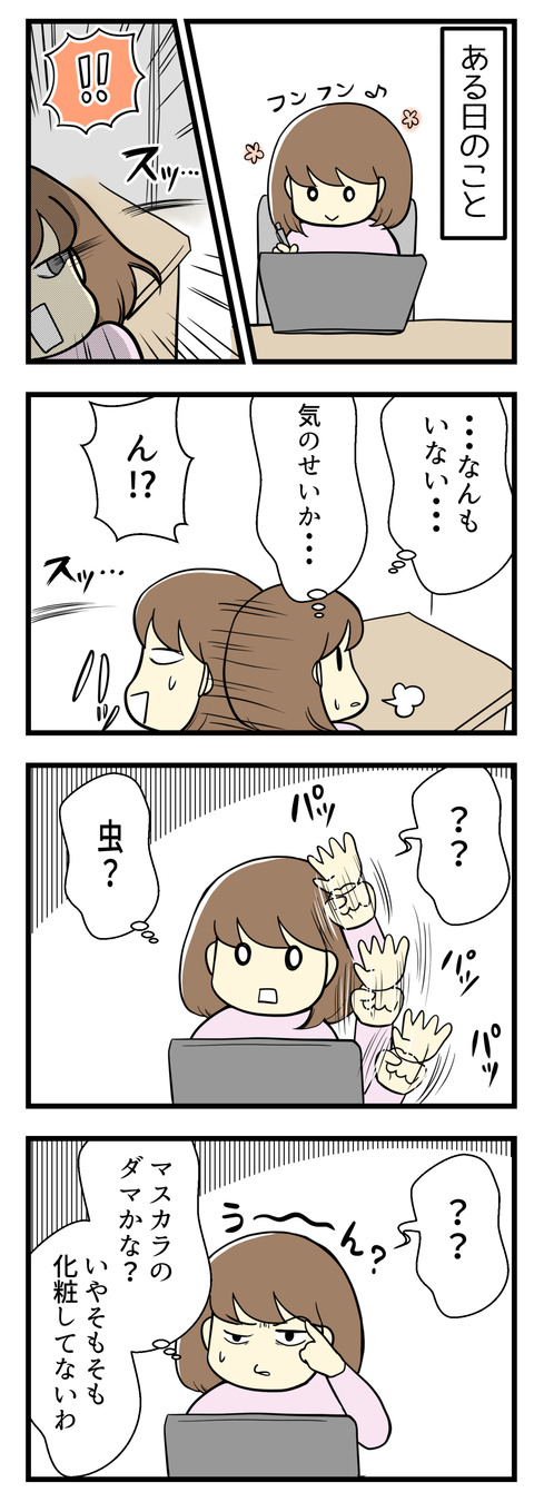 視界の端っこに何かがさっと移動するのが見えるんです。虫??でもいない・・・マスカラのダマ?いや化粧してないし