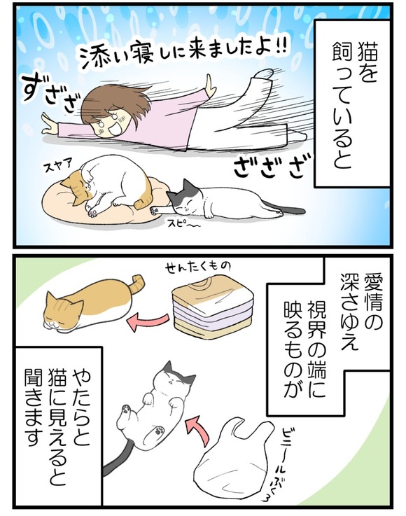 13.視界の端に映るもの1 - 題名なし