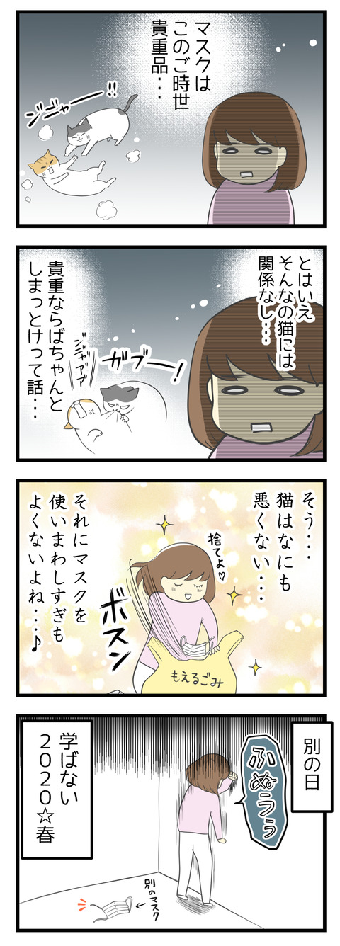 今このご時世、マスクは貴重品・・・でも猫にはそんなの関係ないし・・・貴重ならばちゃんとしまっておけって話。そう、猫は何も悪くない。それにマスクを使いまわしすぎもよくないから捨てよう!と気分を切り替えました。そして別の日、また同じことをやってしまった!学ばない2020年☆春