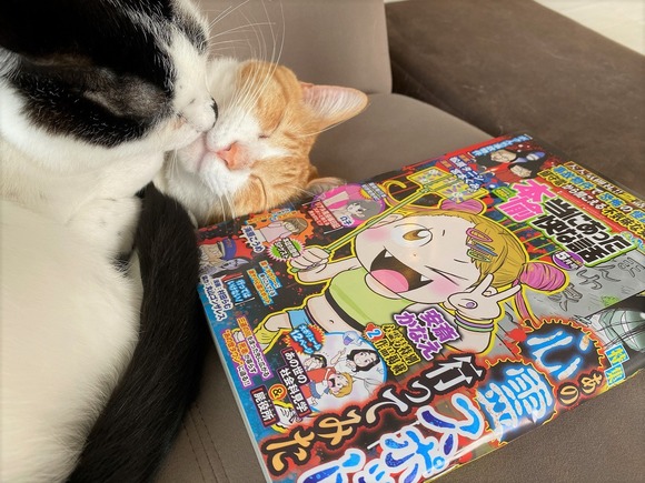 ほんゆ告知