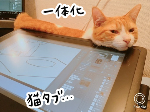 液晶タブレットと猫のナギ