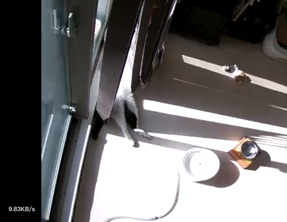 見守りカメラ