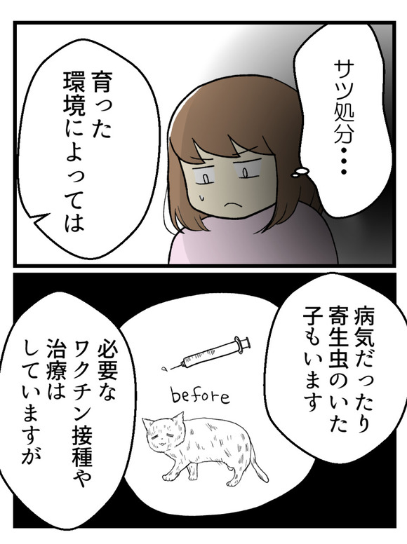 ねこまんが_4