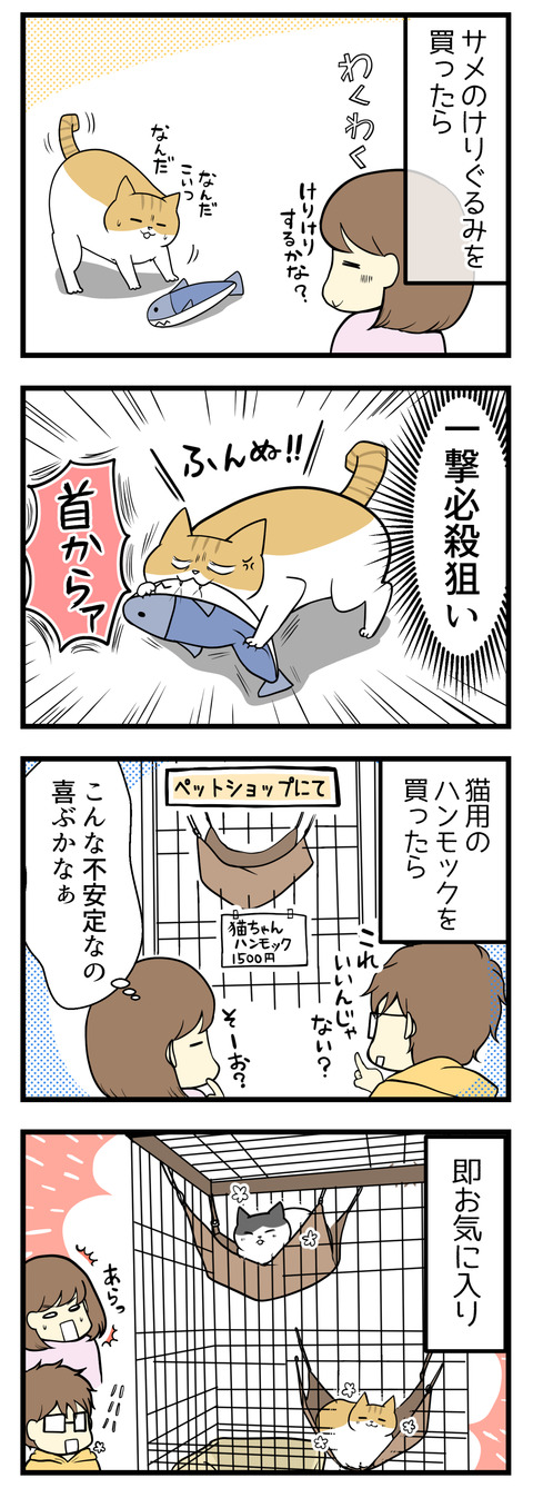 サメのけりぐるみを買ったら、ケリケリせずに首根っこから一撃必殺攻撃する猫。ゆらゆらハンモックは「こんな不安定なの気に入るの?」と思っていたら猫のお気に入りに。