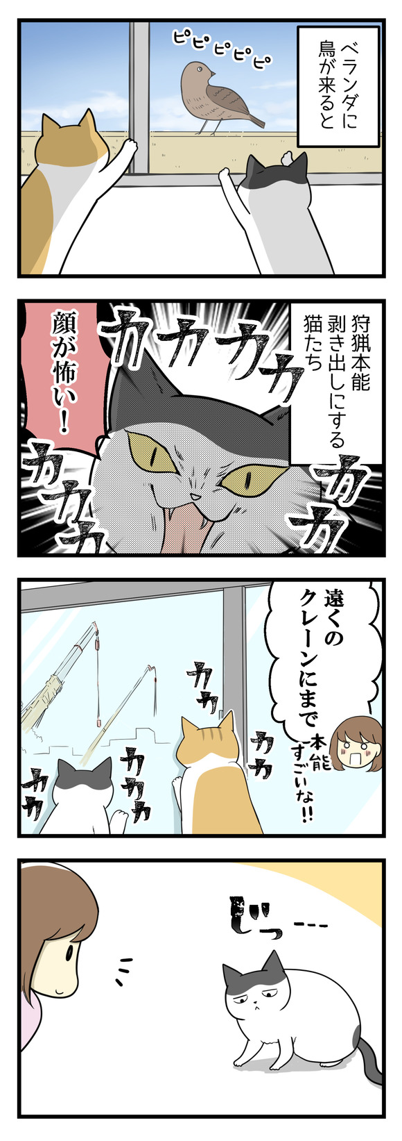 猫の本能がよくわからない!-1-