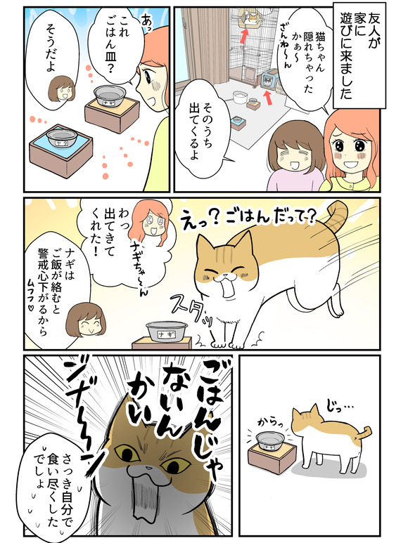 猫たちの性格出るよね_1