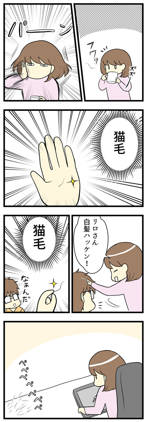 夫の白髪かと思ったら猫毛!