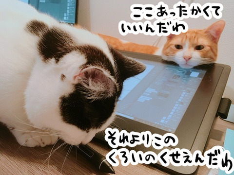 液晶タブレットと猫たち