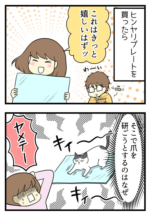最近ひんやりプレートを買ったらそこでなぜか爪とぎをするように!