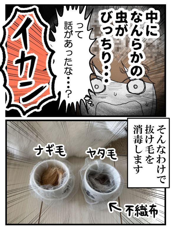 けだまだま作ったら_5