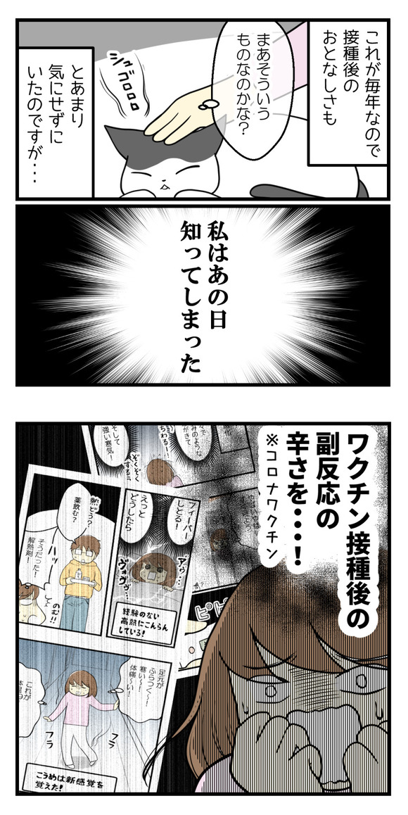 猫のワクチン接種で今さらな話-1-2