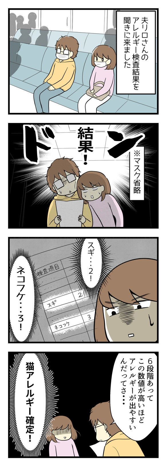 検査から二週間後、夫リロさんのアレルギー検査結果を聞きに病院へ行きました。結果・・・。スギが2、ネコフケ・・・3という結果!猫アレルギー確定です!