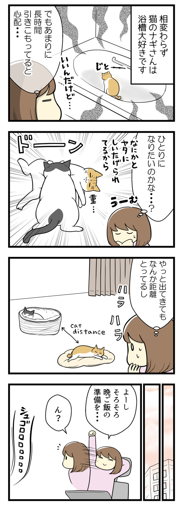 またまた相変わらず猫のナギさんは浴槽が大好きです。でもあまりに長時間籠っていると心配･･･一人になりたいのかな？やっと浴槽から出てきたと思っても、もう一匹の猫ヤタさんと距離を保って寝ています。夕方になりそろそろ晩ご飯の準備を･･･と思ったら